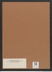 Diatomeae indet. Zeichnungen Sammlung Grunow Mappe 00810 (Herbarium_W_Grunow_drawings_Folder_00810)